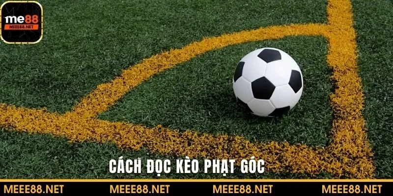 Nắm bắt cách đọc kèo phạt góc cùng chuyên gia nhà cái